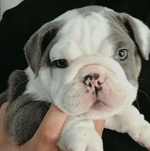 Meet your Posher, Gloria